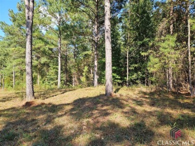 Strom Thurmond / Clarks Hill Lake Lot For Sale in Tignall Georgia