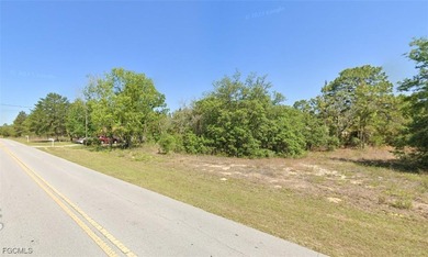 Bonable Lake Lot For Sale in Dunnellon Florida