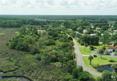 Lake Lot For Sale in Crystal River, Florida