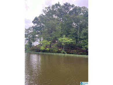 This property is owned by a Licensed Real Estate Agent  40x65