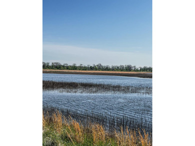 (private lake, pond, creek) Acreage For Sale in Cord Arkansas