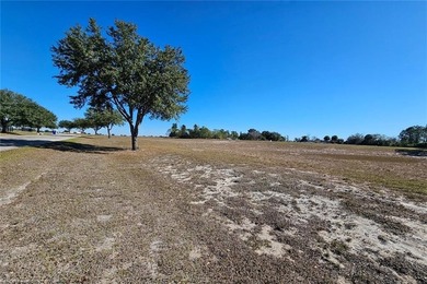 Are you looking to build in a Deed Restricted Community and have - photo 10