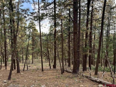 (private lake, pond, creek) Lot For Sale in Bayfield Colorado