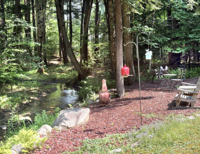 Log Home, picturesque, babbling brook, private community beach - photo 5