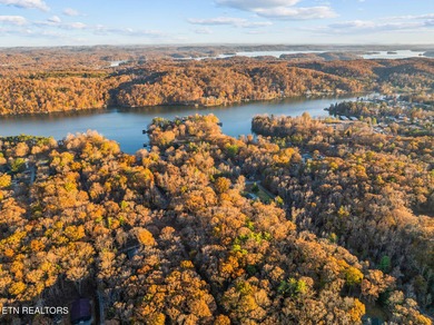 Watts Bar Lake Lot For Sale in Spring City Tennessee