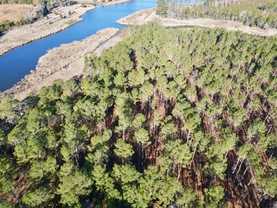 Pamlico River Acreage For Sale in Aurora North Carolina