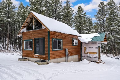 Flathead Lake Home For Sale in Somers Montana