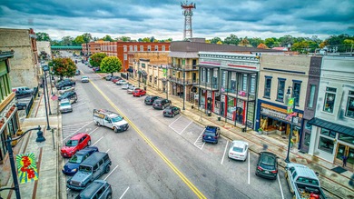 THIS INCLUDES TWO BUILDINGS WITH TWO DIFFRENT BUSINESSES & 4