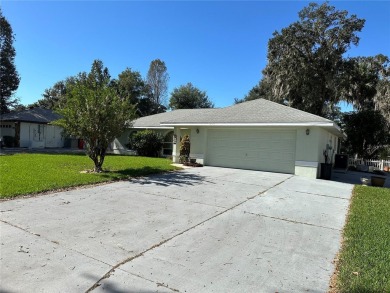 Lake Panasoffkee Home For Sale in Lake Panasoffkee Florida