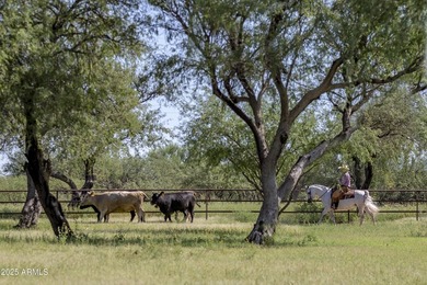 Nestled at the base of the Santa Rita Mountains and conveniently - photo 42