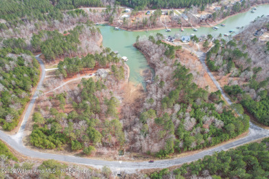 Lake Acreage Off Market in Arley, Alabama