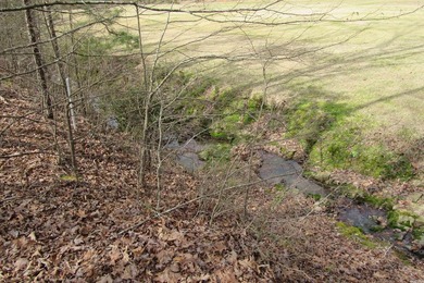 Three beautiful large wooded golf course lots, all with only one - photo 7