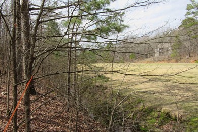 Three beautiful large wooded golf course lots, all with only one - photo 9