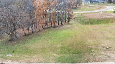 Watts Bar Lake Lot For Sale in Loudon Tennessee