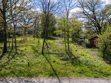 Lake Waubesa Lot For Sale in Mcfarland Wisconsin