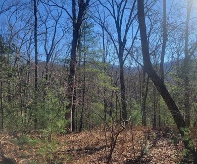 Hiwassee River - Clay County Acreage For Sale in Hayesville North Carolina