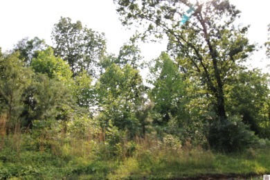 (private lake, pond, creek) Lot For Sale in Gilbertsville Kentucky