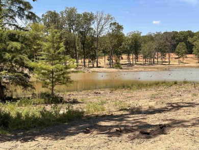 (private lake, pond, creek) Lot For Sale in Cabot Arkansas