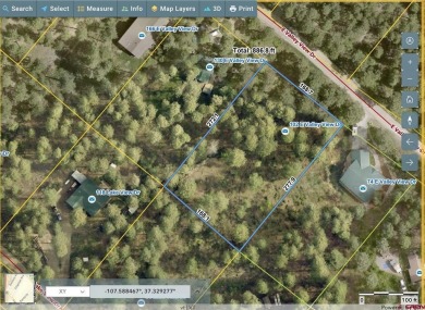 (private lake, pond, creek) Lot For Sale in Bayfield Colorado