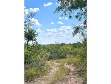 (private lake, pond, creek) Acreage For Sale in Abilene Texas