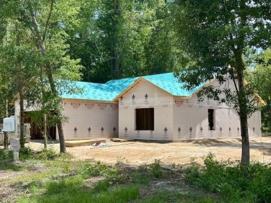 Lake Home For Sale in Wewahitchka, Florida