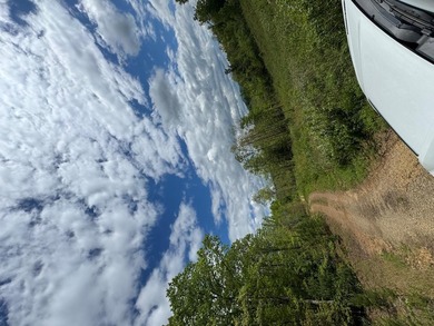 (private lake, pond, coastal) Acreage For Sale in Murphy North Carolina