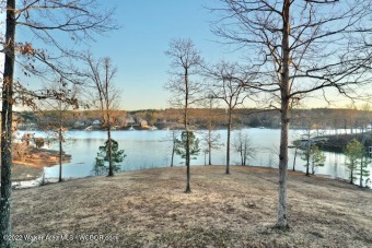 Premium lot on Smith Lake, Over 670 feet of water front, rock - Lake Acreage For Sale in Arley, Alabama