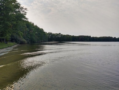 ST. MARY'S LAKE WATERFRONT LOTS-Beautiful waterfront lots on 113 - photo 4