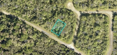 Lehigh Acres Area Lot For Sale in Lehigh Acres Florida