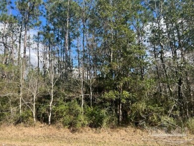 (private lake, pond, creek) Lot For Sale in Milton Florida