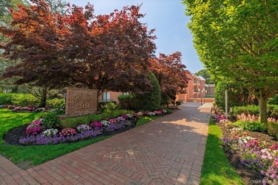 Welcome to the Park Lane Condominium. Luxury living with a 24/7 - photo 1