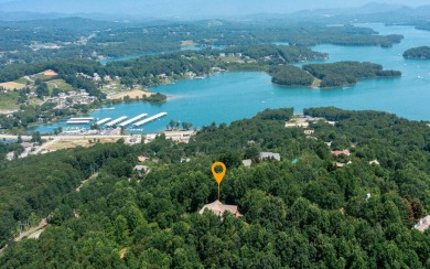BIG BOLD MOUNTAIN & LAKE VIEWS IN THE NORTH GA MOUNTAINS!! - Lake Home For Sale in Hiawassee, Georgia