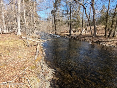 Mill Pond Lot For Sale in Bushkill Pennsylvania