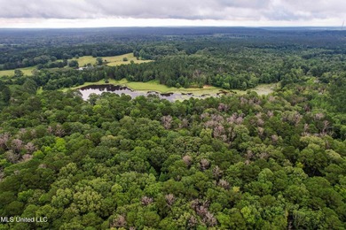 Built in 2007 this Residence was featured in Mississippi - photo 5