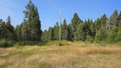 4.77-acre multi-use site on Hwy 53 with ample parking for - photo 7