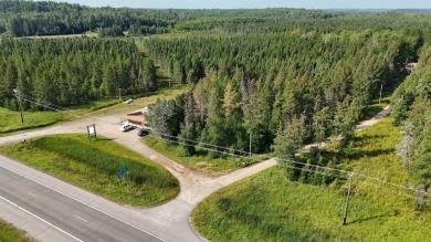4.77-acre multi-use site on Hwy 53 with ample parking for - photo 8