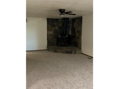 Newly Remodeled home with a 1 slip boat dock with electricity in - photo 4