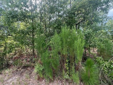 Lake Florence Lot For Sale in Beech Island South Carolina