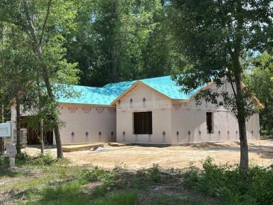 Lake Home For Sale in Wewahitchka, Florida