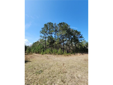 This property spans 1,175 acres and features over a mile of - photo 11