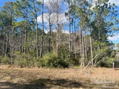 (private lake, pond, creek) Lot For Sale in Milton Florida