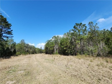 This property spans 1,175 acres and features over a mile of - photo 12