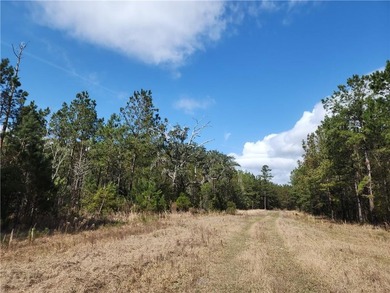 This property spans 1,175 acres and features over a mile of - photo 13