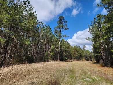 This property spans 1,175 acres and features over a mile of - photo 14