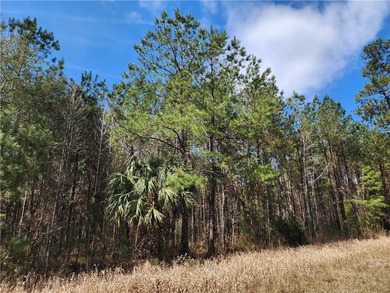 This property spans 1,175 acres and features over a mile of - photo 15