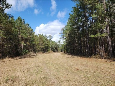 This property spans 1,175 acres and features over a mile of - photo 16