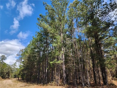 This property spans 1,175 acres and features over a mile of - photo 17