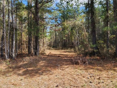 This property spans 1,175 acres and features over a mile of - photo 18