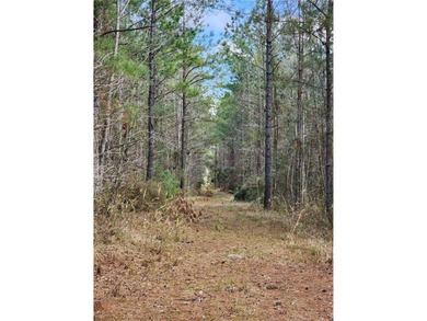 This property spans 1,175 acres and features over a mile of - photo 19