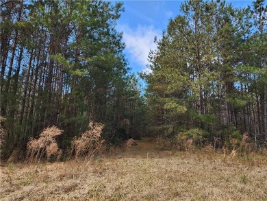 This property spans 1,175 acres and features over a mile of - photo 20